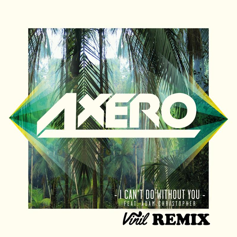 i cant do without you (vinil remix)_axero