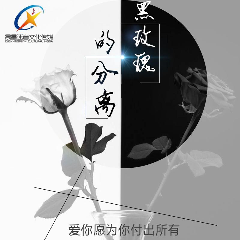 黑玫瑰的想念_晨星迷音_高音質在線試聽_黑玫瑰的想念歌詞|歌曲下載