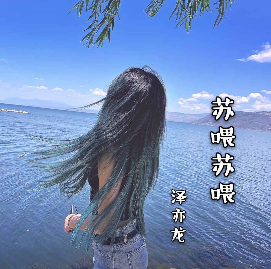 苏喂苏喂苏喂(dj blend mix)_泽亦龙__高音质在线试听_泽亦龙-账