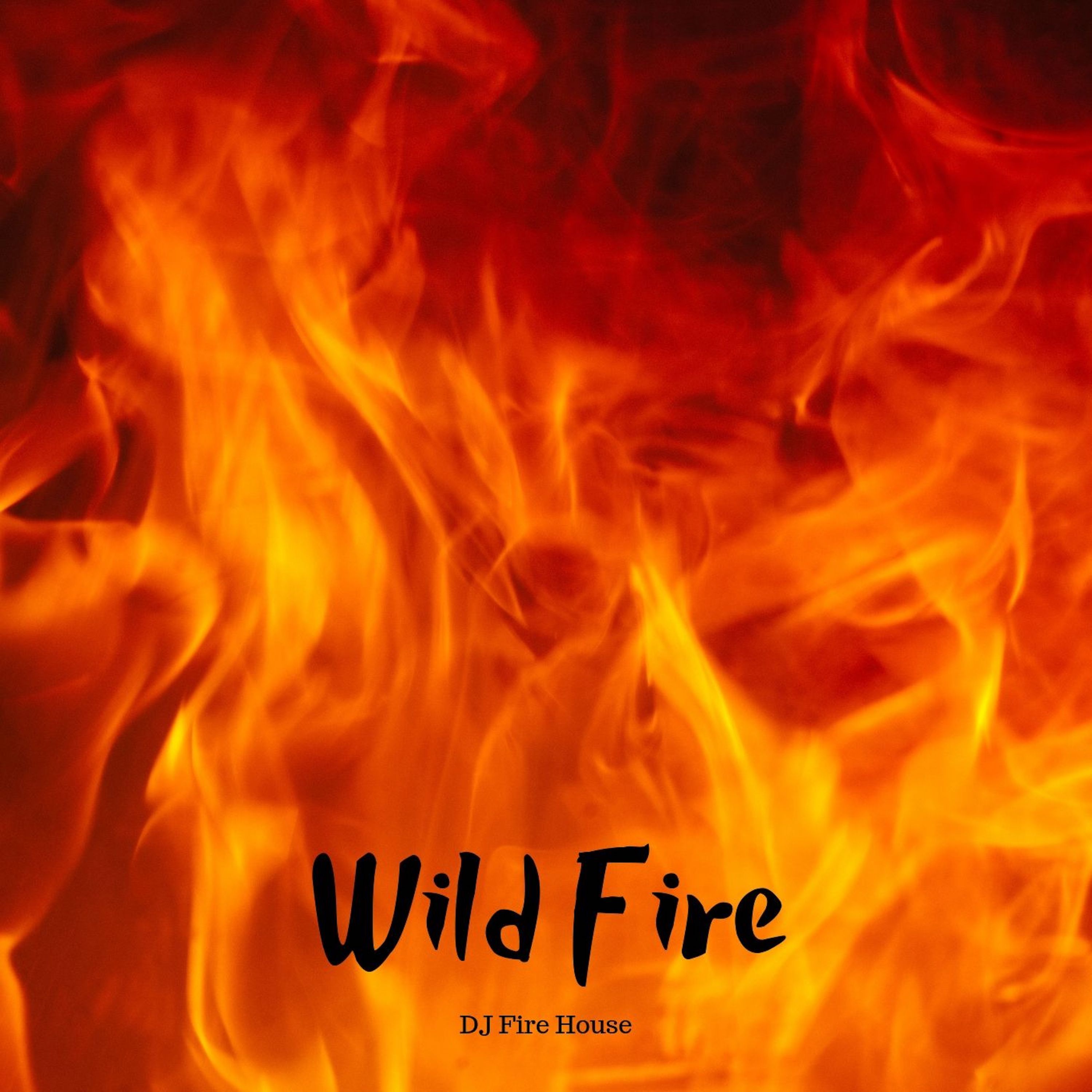 wild fire