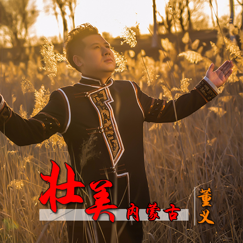 董义壮美内蒙古