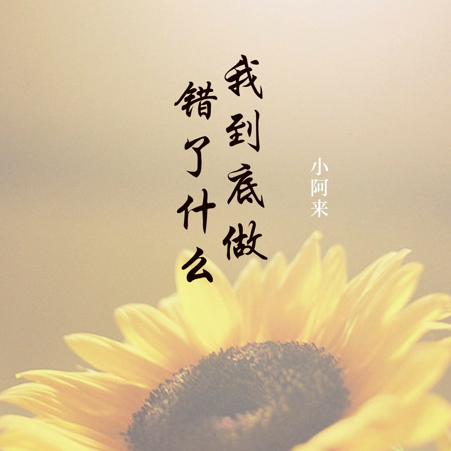 小阿来到底我做错了什么