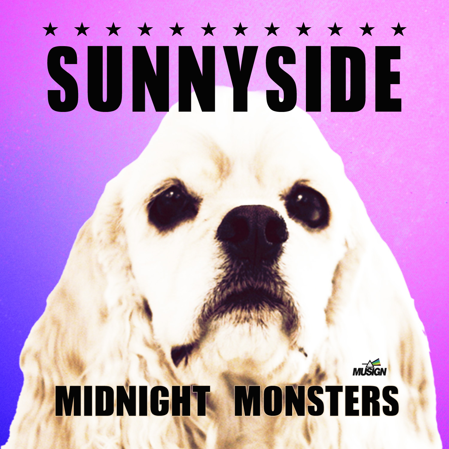 nyside_midnight monsters__高音質在線試聽_sunnyside歌詞|歌曲下載