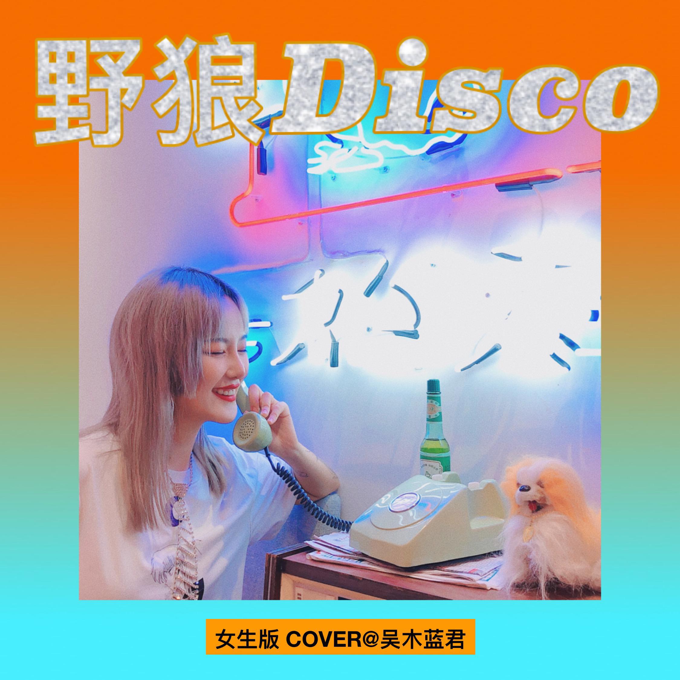 野狼disco女版图片