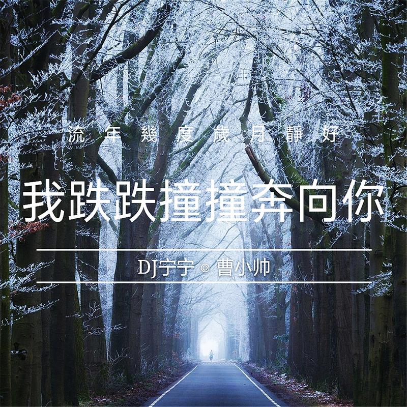 (純音樂)專輯:我跌跌撞撞奔向你歌手:dj寧寧染小哈還沒有歌詞哦