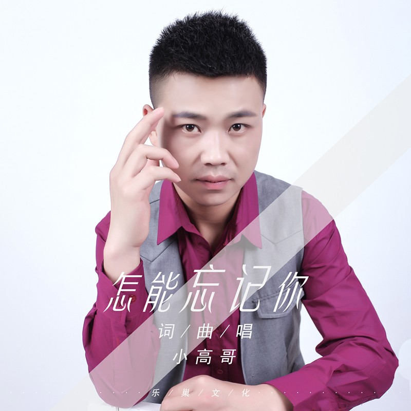 怎能忘记你(dj版)_小高哥_高音质在线试听_怎能忘