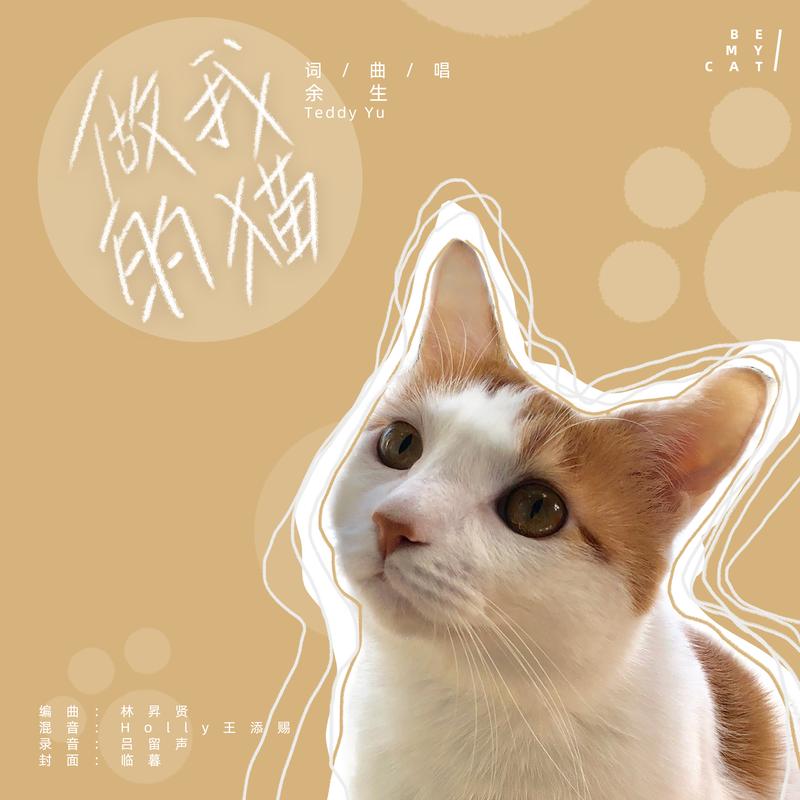 做我的猫