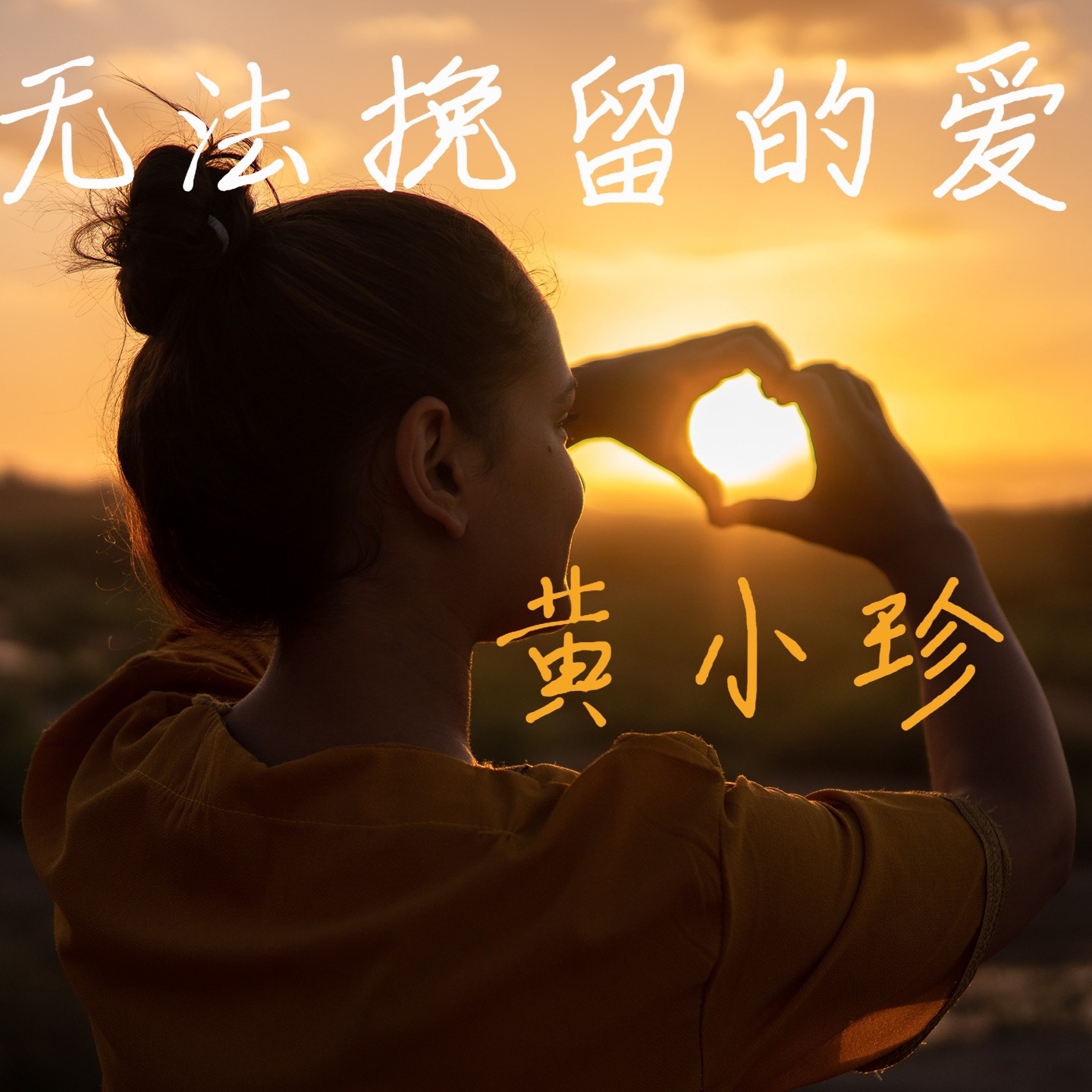歌曲《无法挽留的爱》