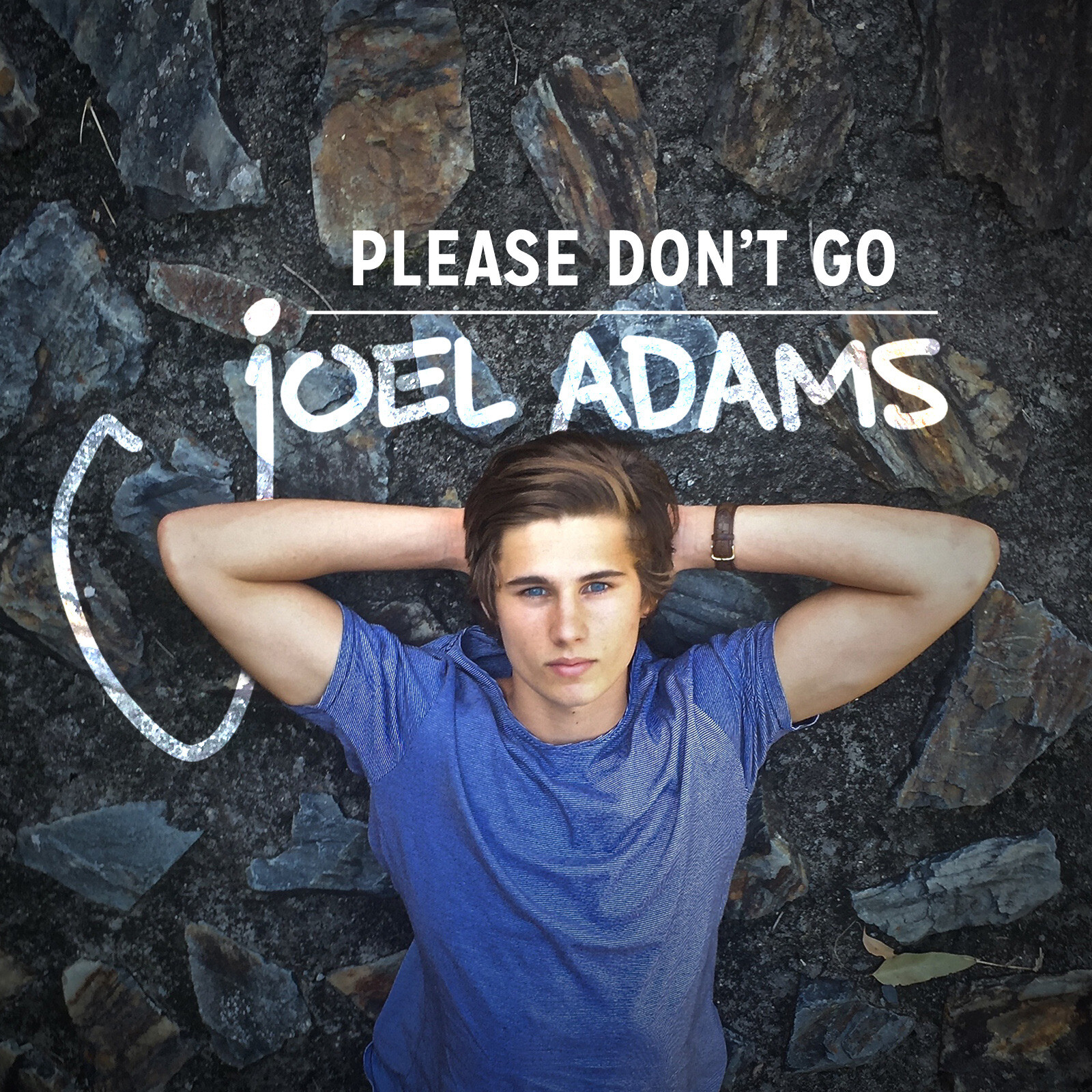 joeladamspleasedontgoacappella