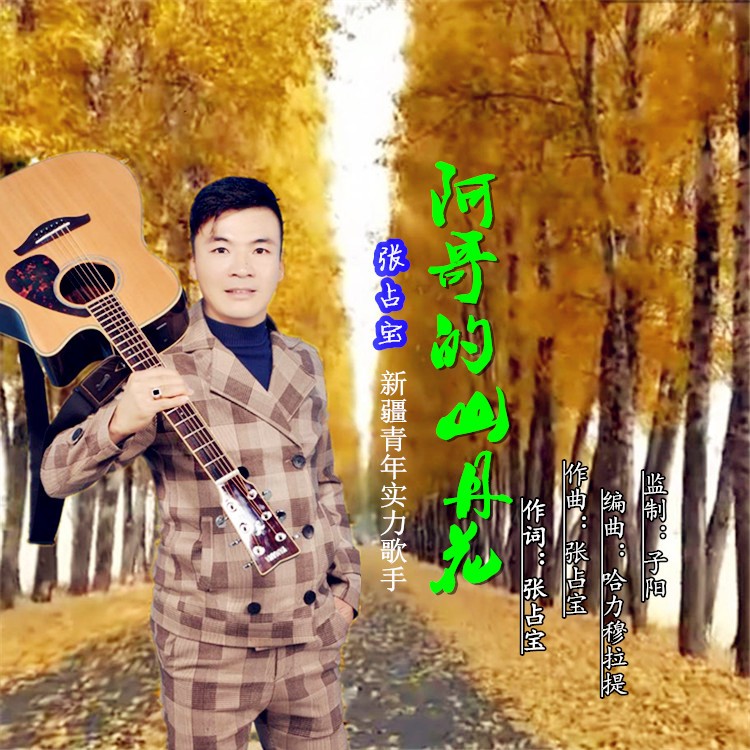 张占宝阿哥的山丹花