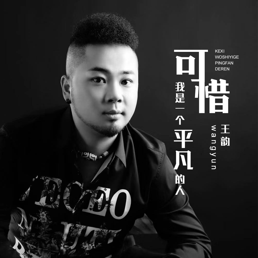 可惜我是一个平凡的人 (djheap九天版)