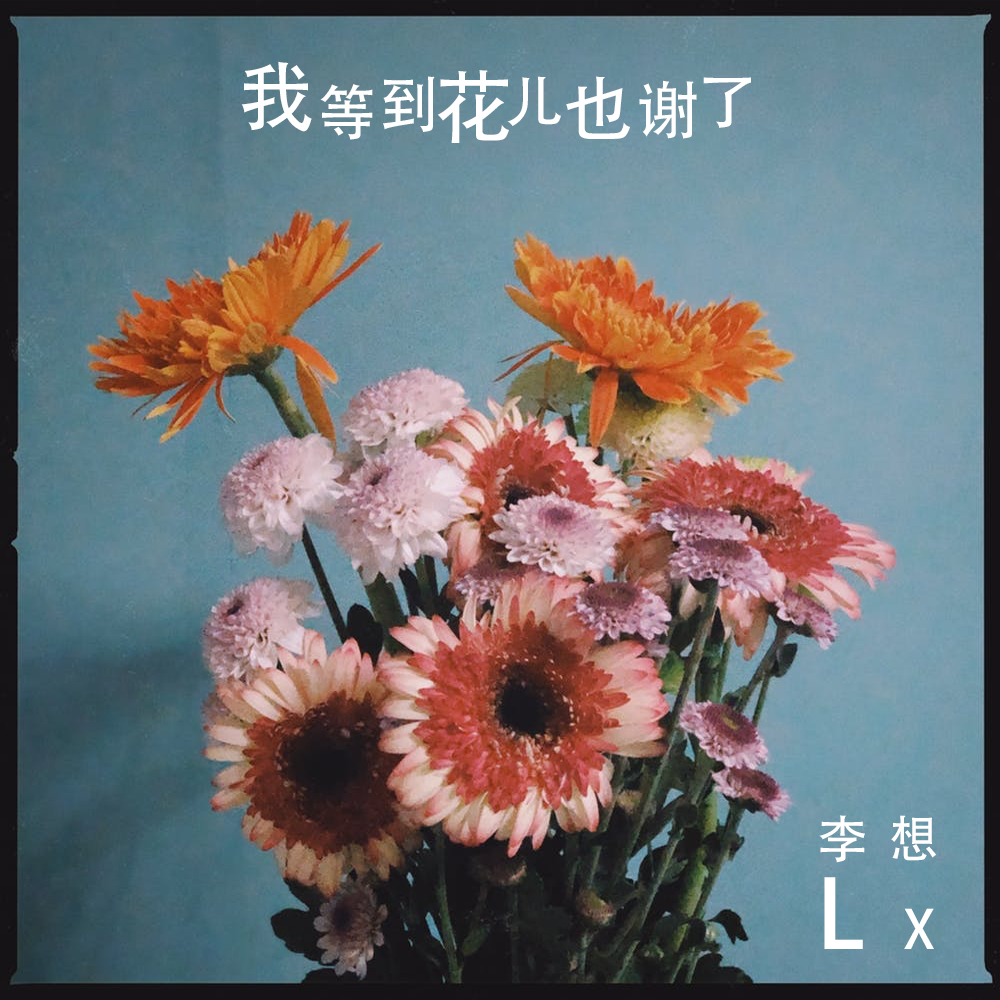 我等到花兒也謝了_李想lx_高音質在線試聽_我等到花兒也謝了歌詞|歌曲