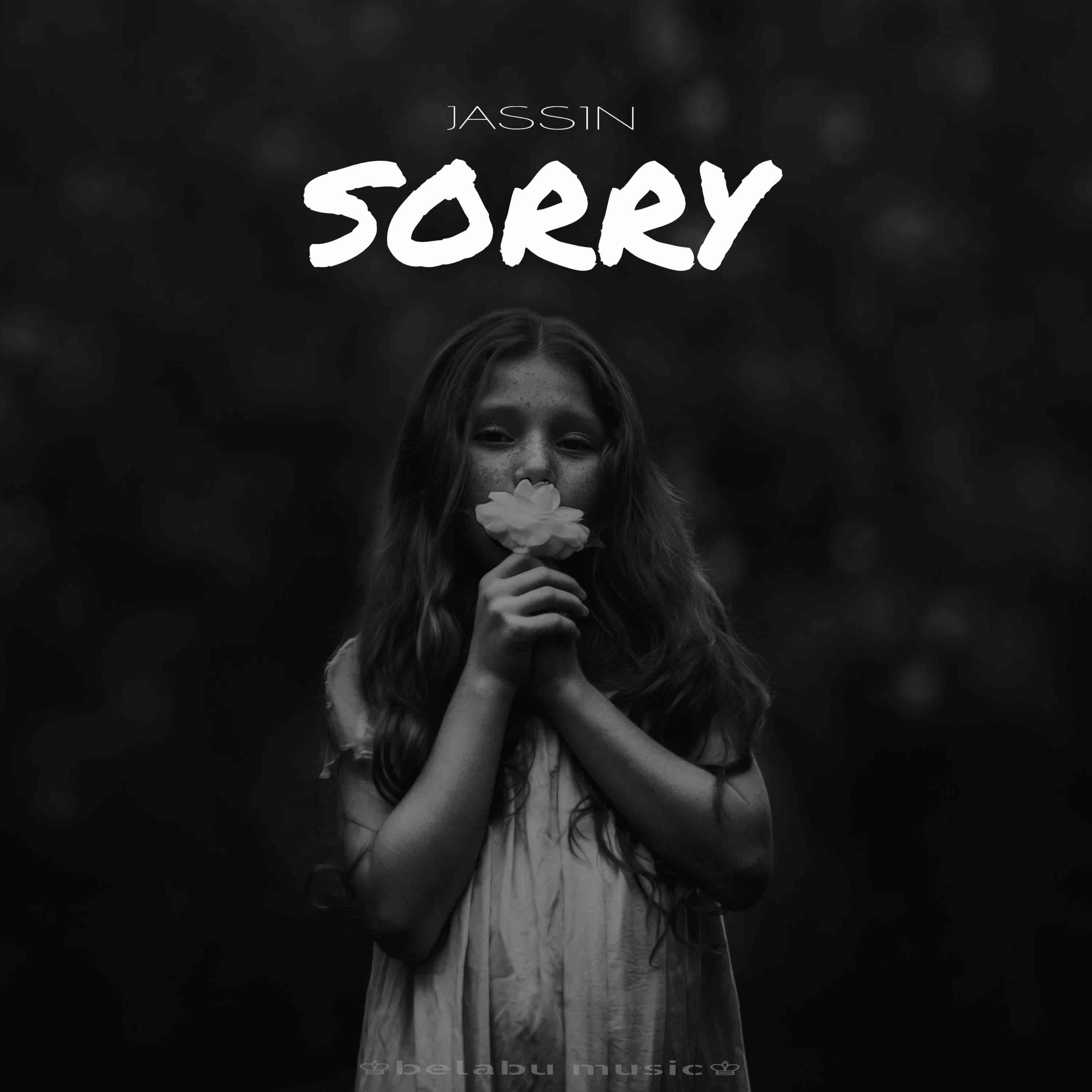 sorry歌曲(sorry歌曲表达什么意思啊)
