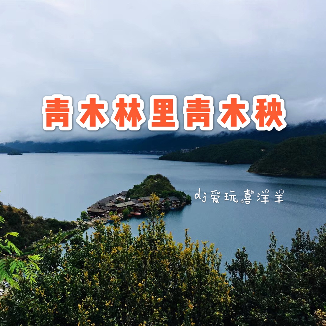 青木林里青木秧 (dj版)_dj爱玩小哥喜洋羊_高音质在线试听_青木林里