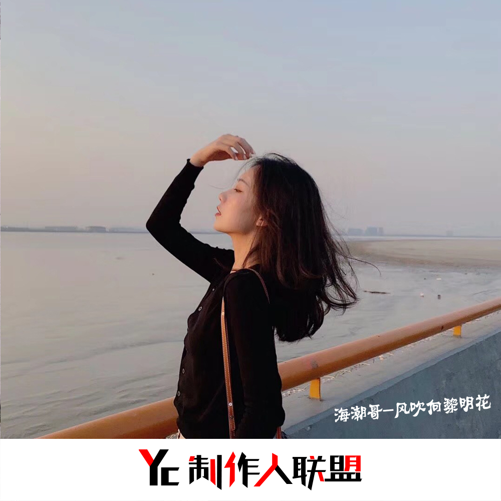 我在人间彷徨寻不到你的天堂 (remix)专辑:风吹向黎明花歌手:海潮哥