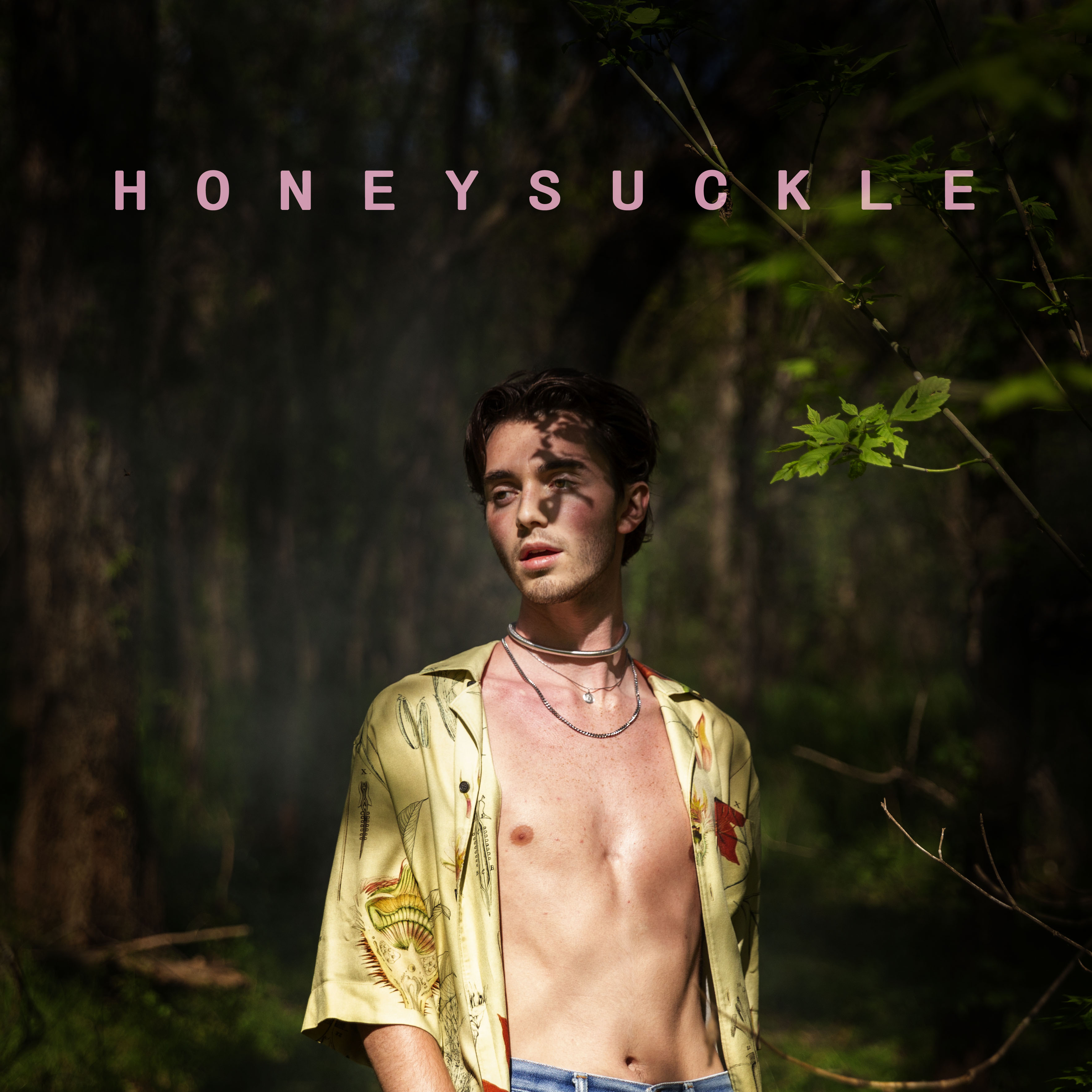 Ckle Greyson Chance 高音质在线试听 Honeysuckle歌词 歌曲下载 酷狗音乐honeysu