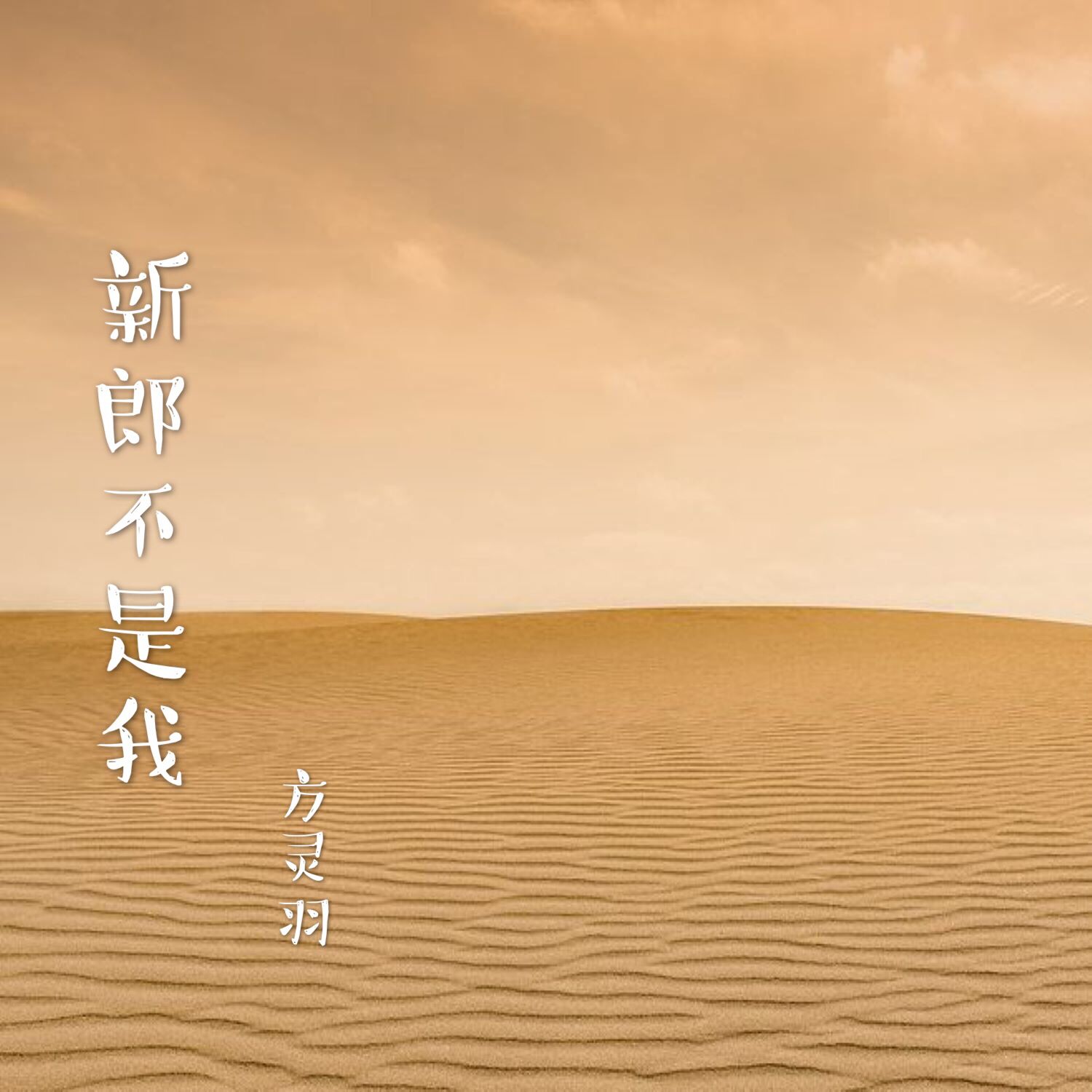 女友嫁人了新郎不是我印度歌曲(女友嫁人了新郎不是我印度歌曲下载)