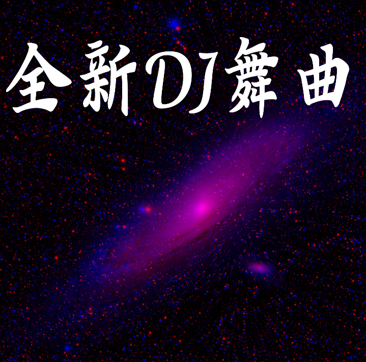 丢了你dj版