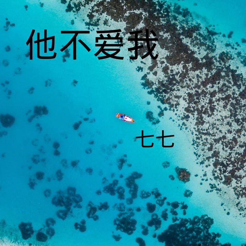 他不爱我_七七_高音质在线试听_他不爱我歌词|歌曲下载_酷狗音乐
