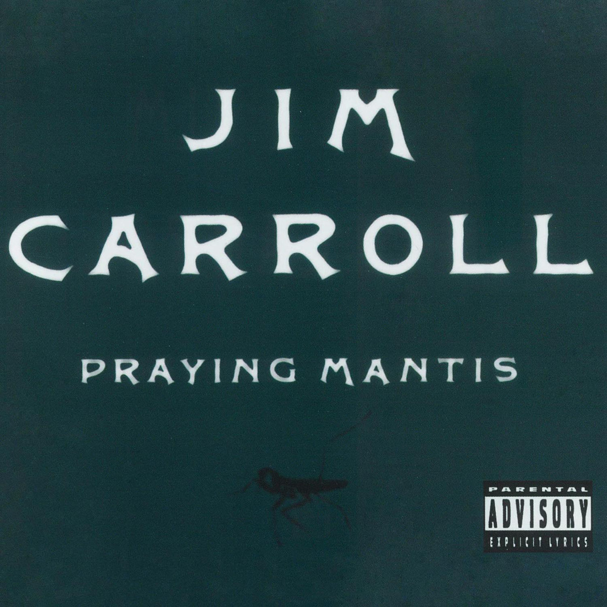ying mantis_jim carroll__高音质在线试听_praying mantis歌词|歌曲