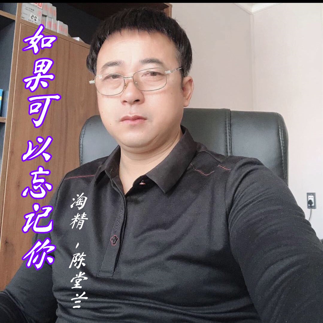 如果可以忘记你_淘精,陈堂兰_高音质在线试听_如果可以忘记你歌词