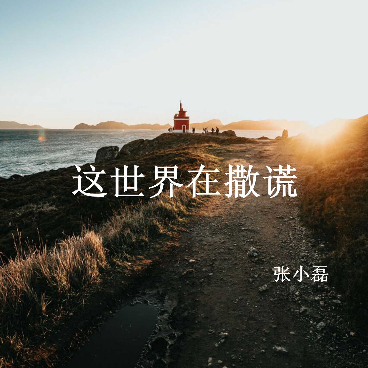 張小磊這世界在撒謊