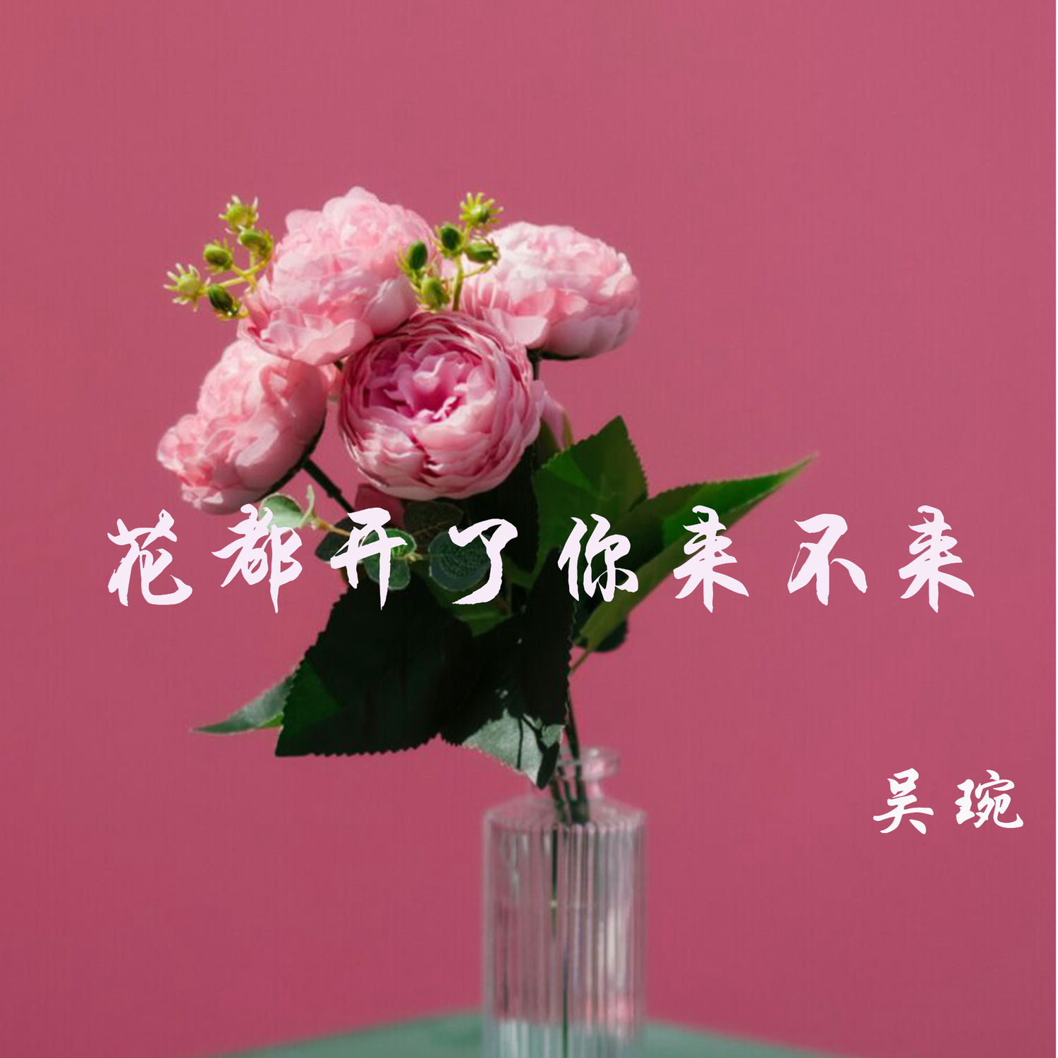 吴琬花都开了你来不来