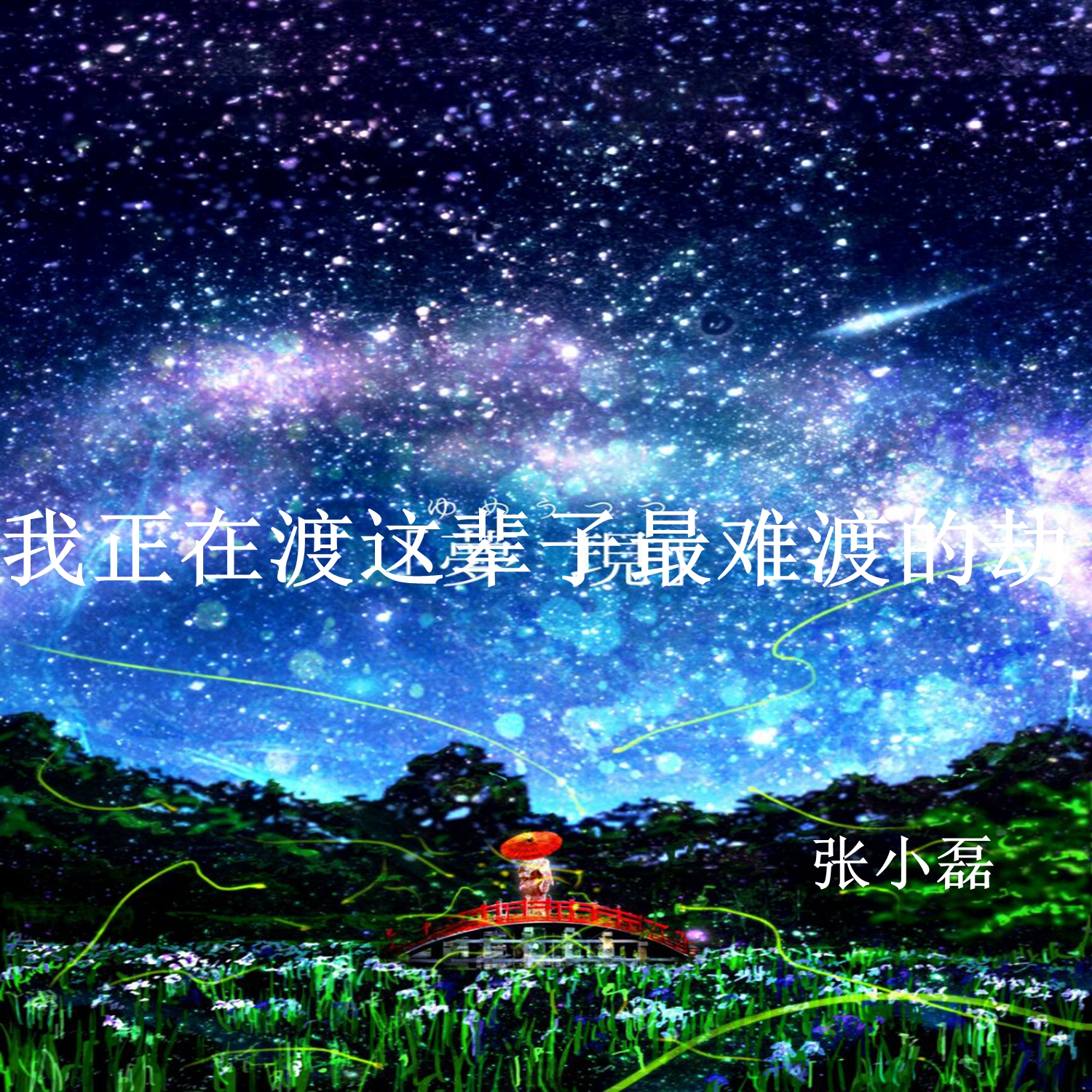 张小磊我正在渡这辈子最难渡的劫