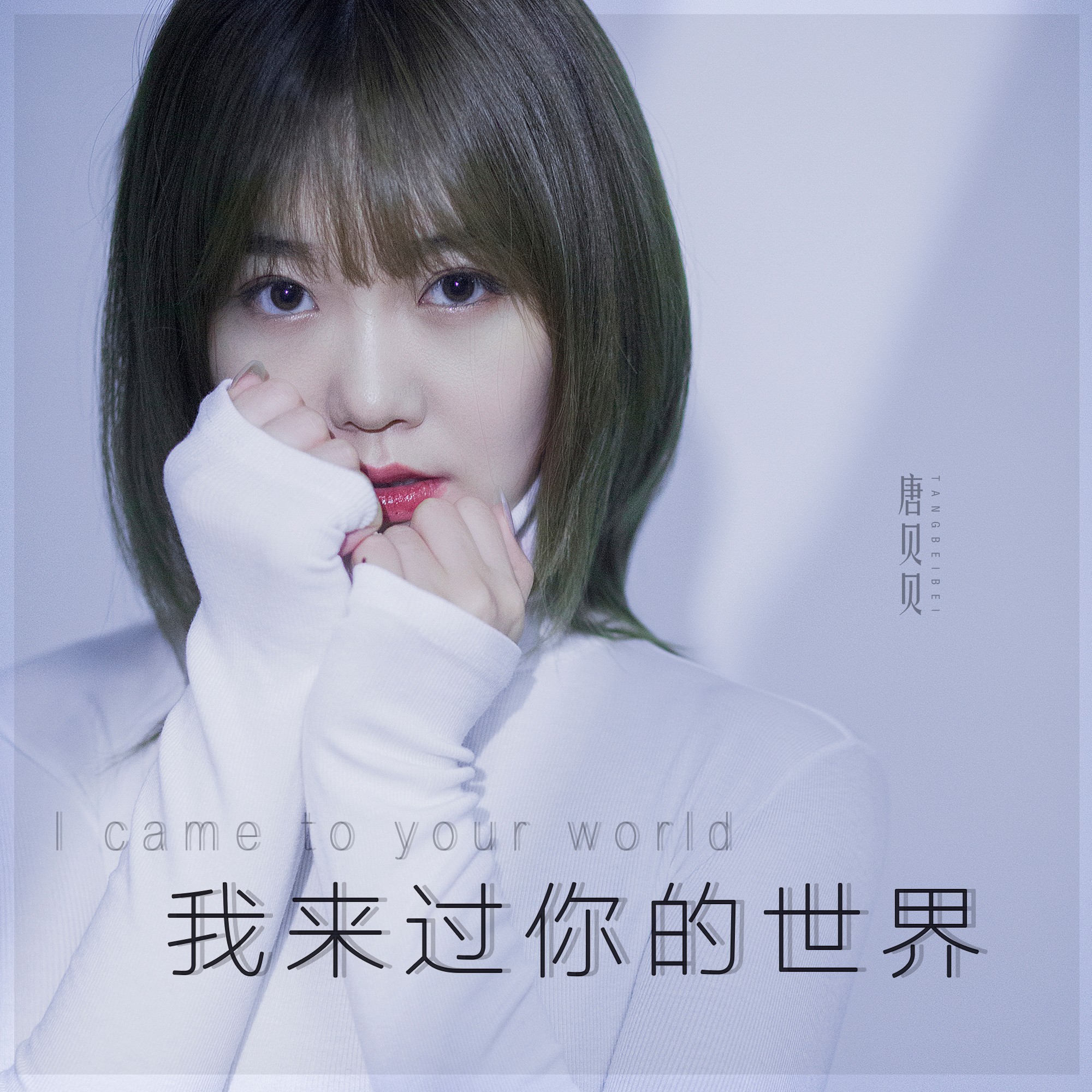 我来过你的世界_唐贝贝_高音质在线试听_我来过你的世界歌词|歌曲下载