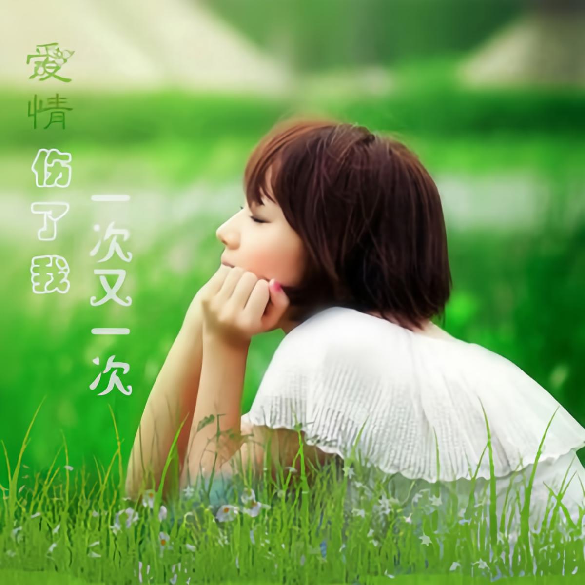 爱情伤了我一次又一次