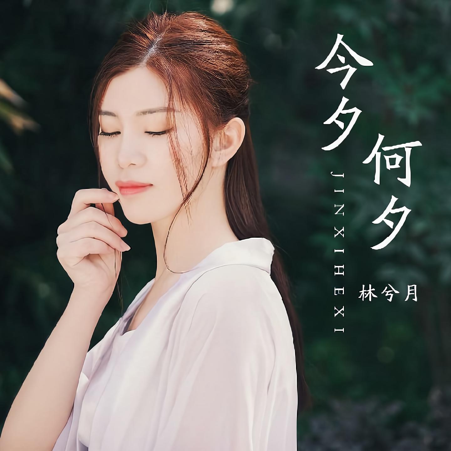 今夕是何夕音乐完整版