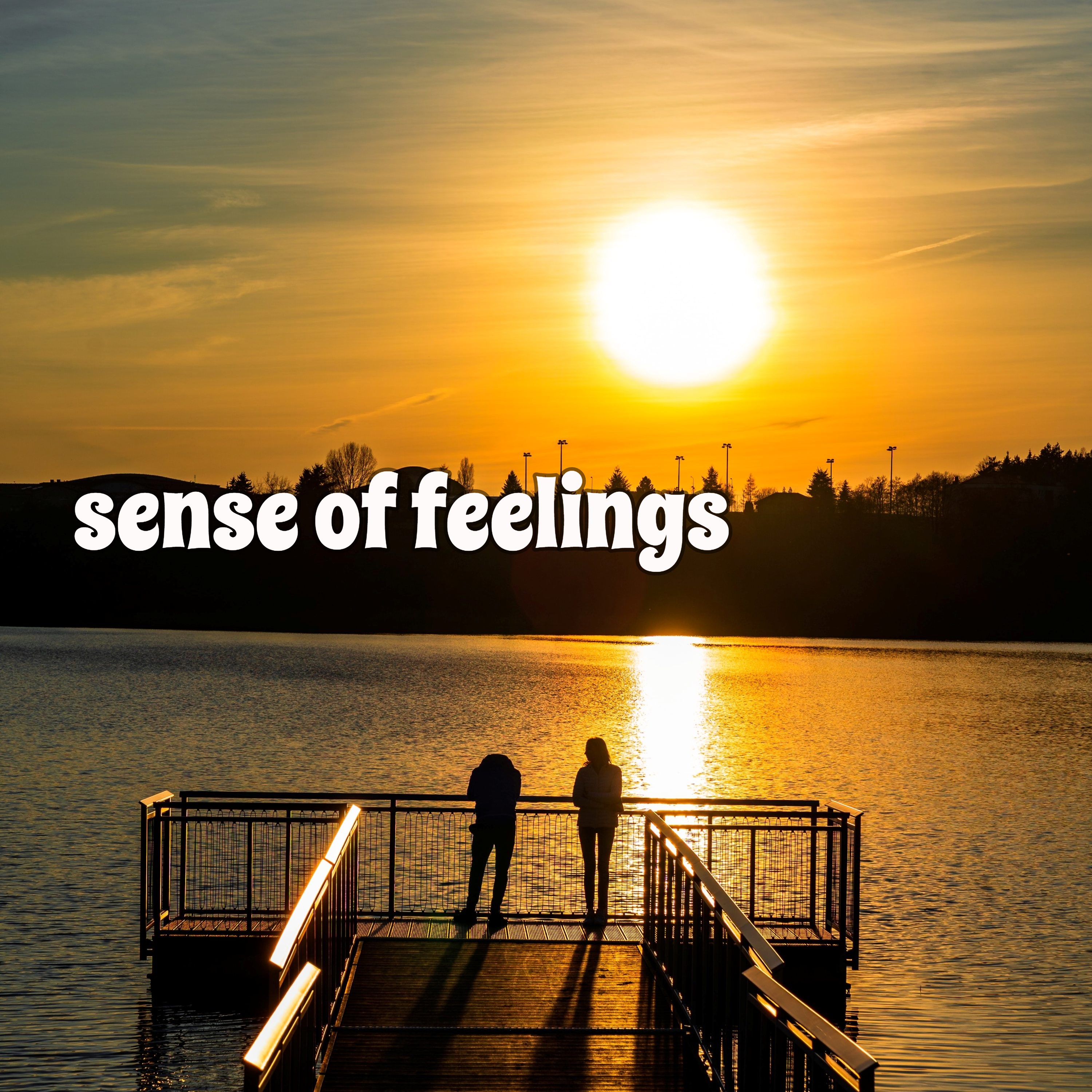 sense of feelings_bobby west,bill mayers_高音质在线试听_sense of