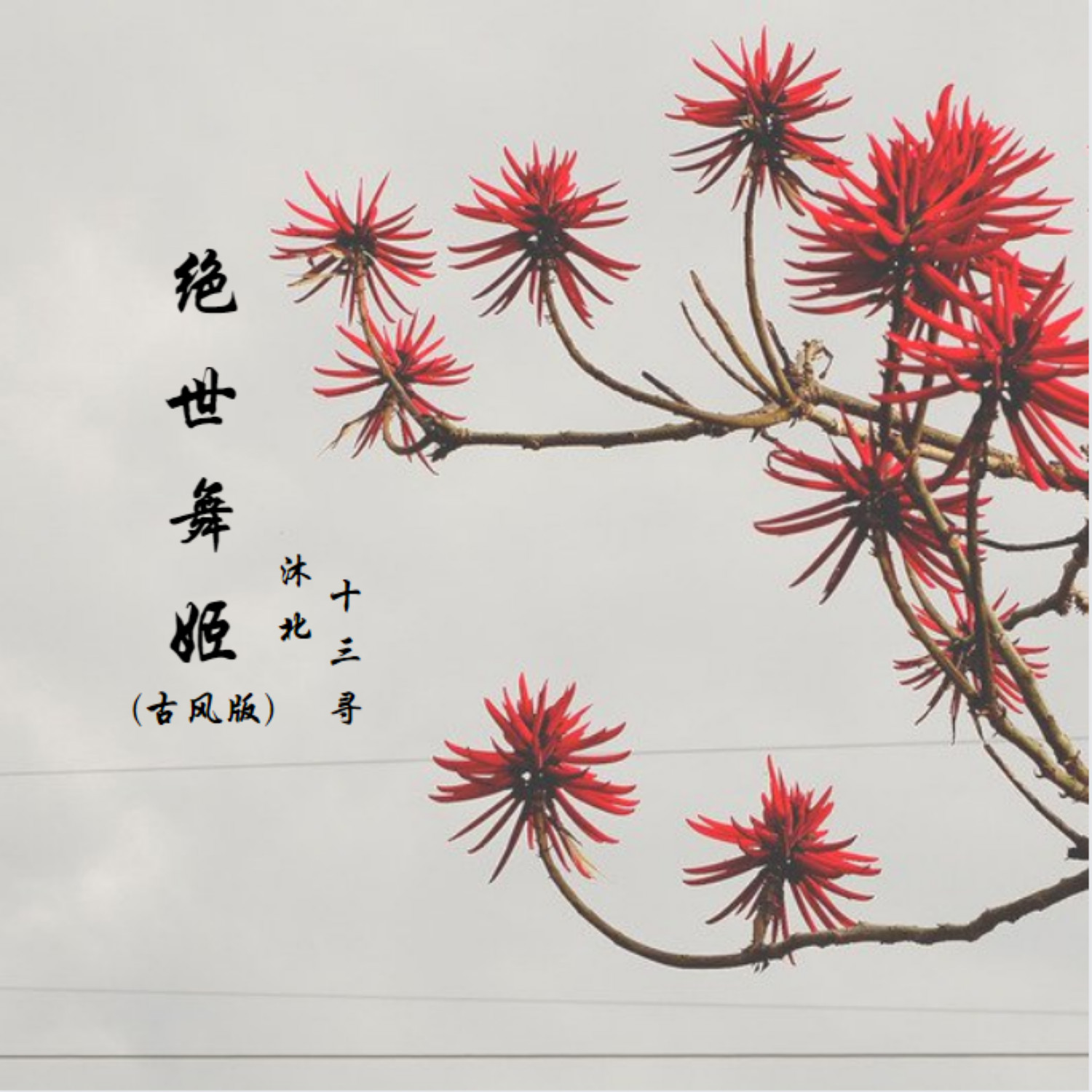 绝世舞姬歌曲(绝世舞姬歌曲视频)