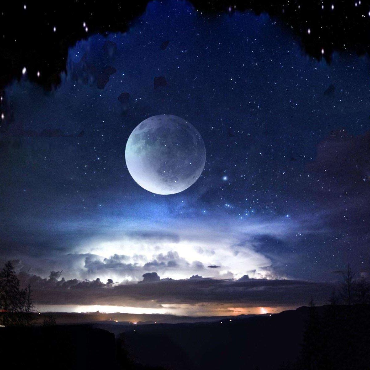 执子之手歌曲(执子之手歌曲表达了什么情感) 执子之手歌曲(执子之手歌曲表达了什么情感)