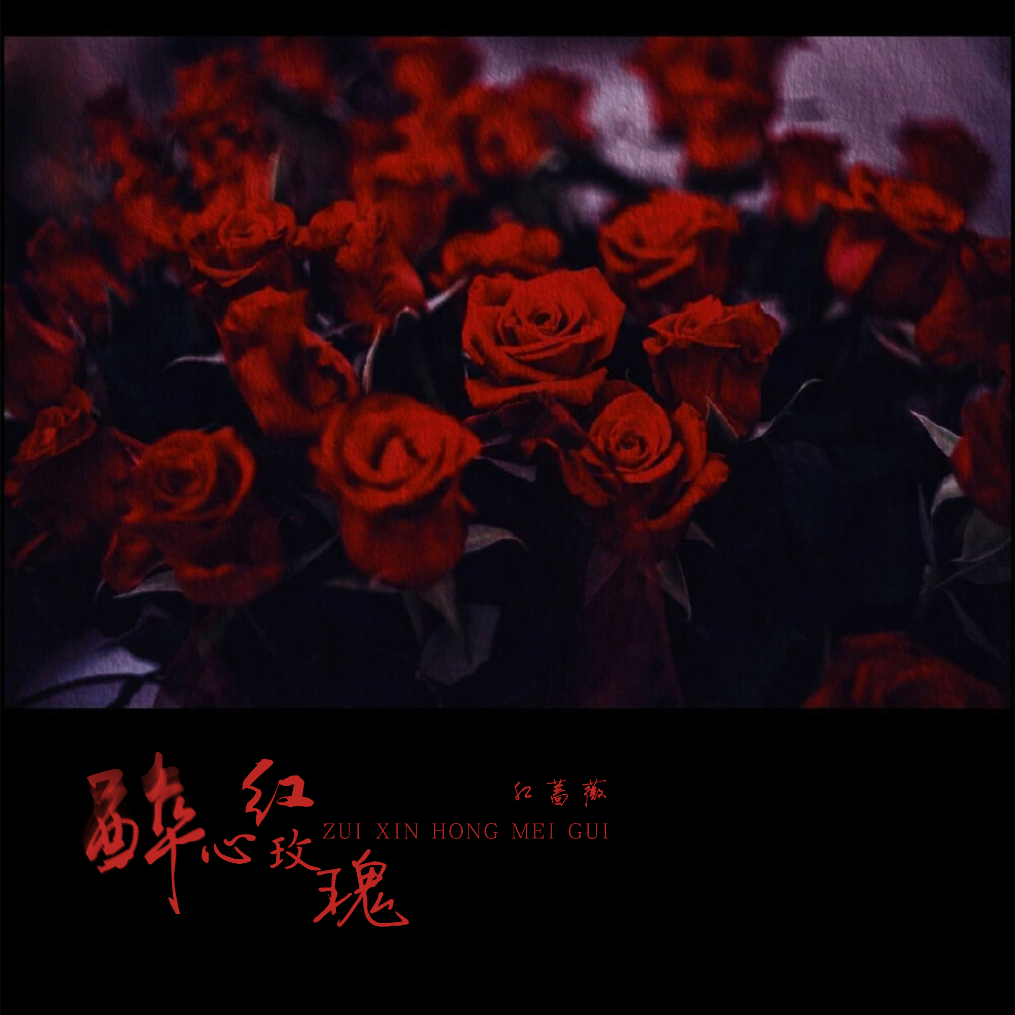 醉心紅玫瑰_紅薔薇_高音質在線試聽_醉心紅玫瑰歌詞|歌曲下載_酷狗