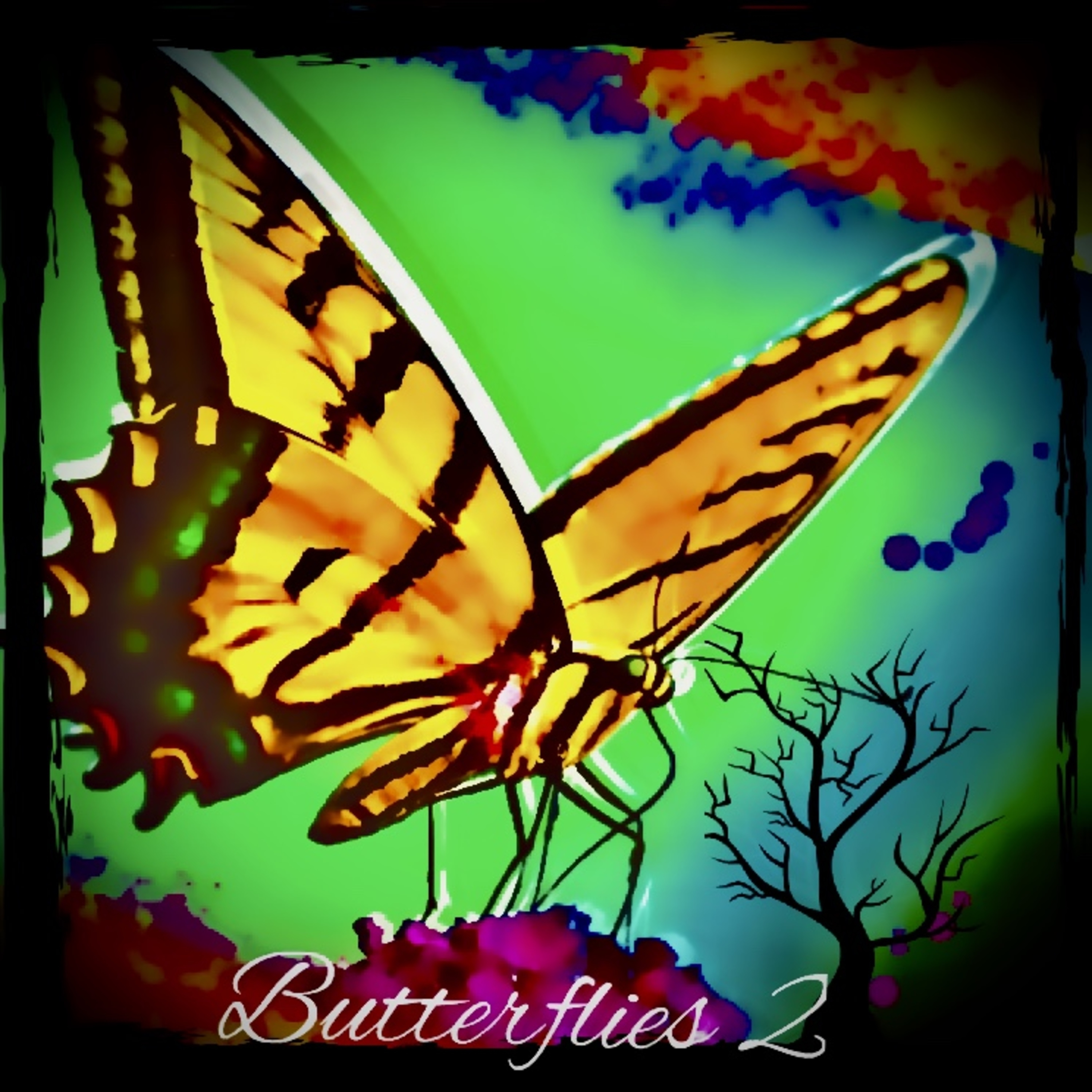 butterflyes图片