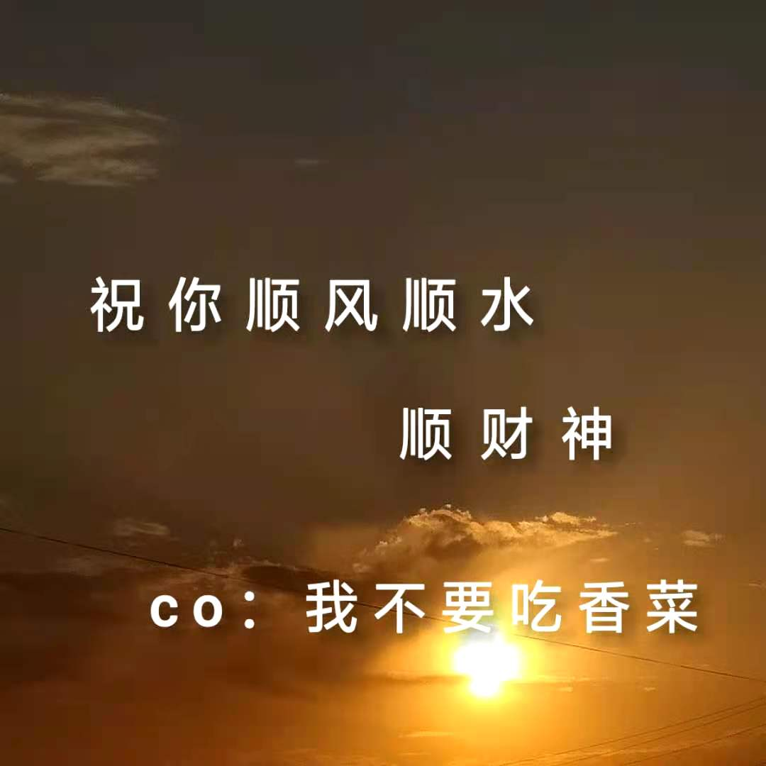 祝你顺风顺水顺财神_我不要吃香菜_高音质在线试听_祝你顺风顺水顺