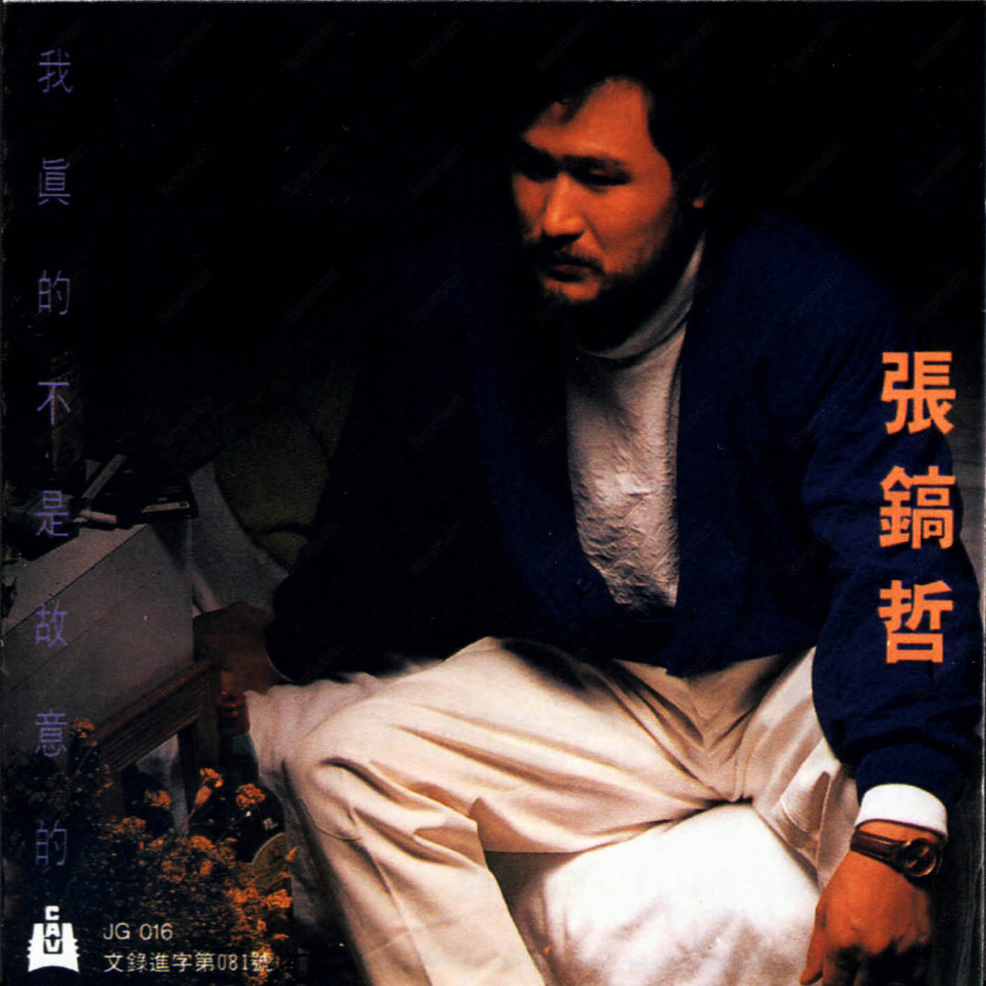 张镐哲 - 再回到从前专辑:我真的不是故意的 (台湾版)歌手:张镐哲再