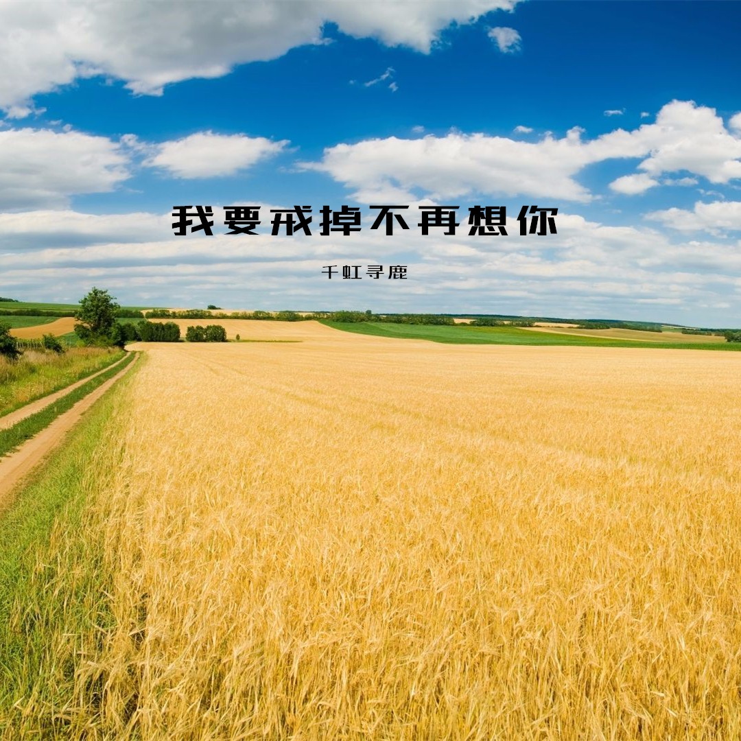我要戒掉不再想你_千虹寻鹿_高音质在线试听_我要戒掉不再想你歌词