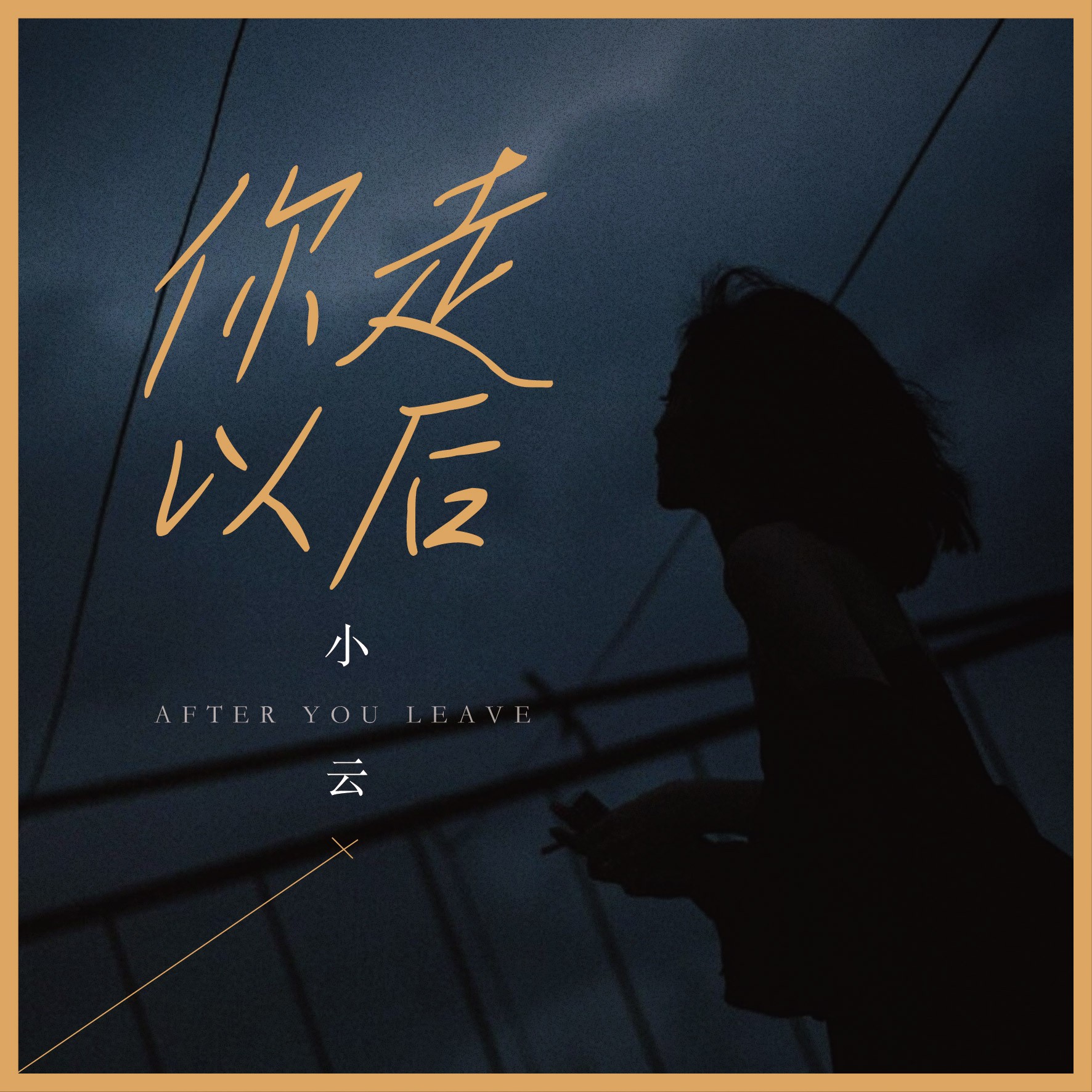 小云你走以后dj武圣雄版