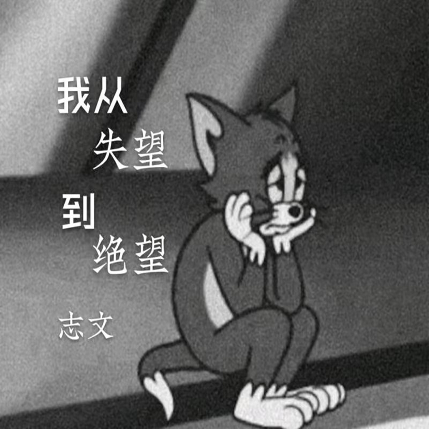 被伤透了心图片