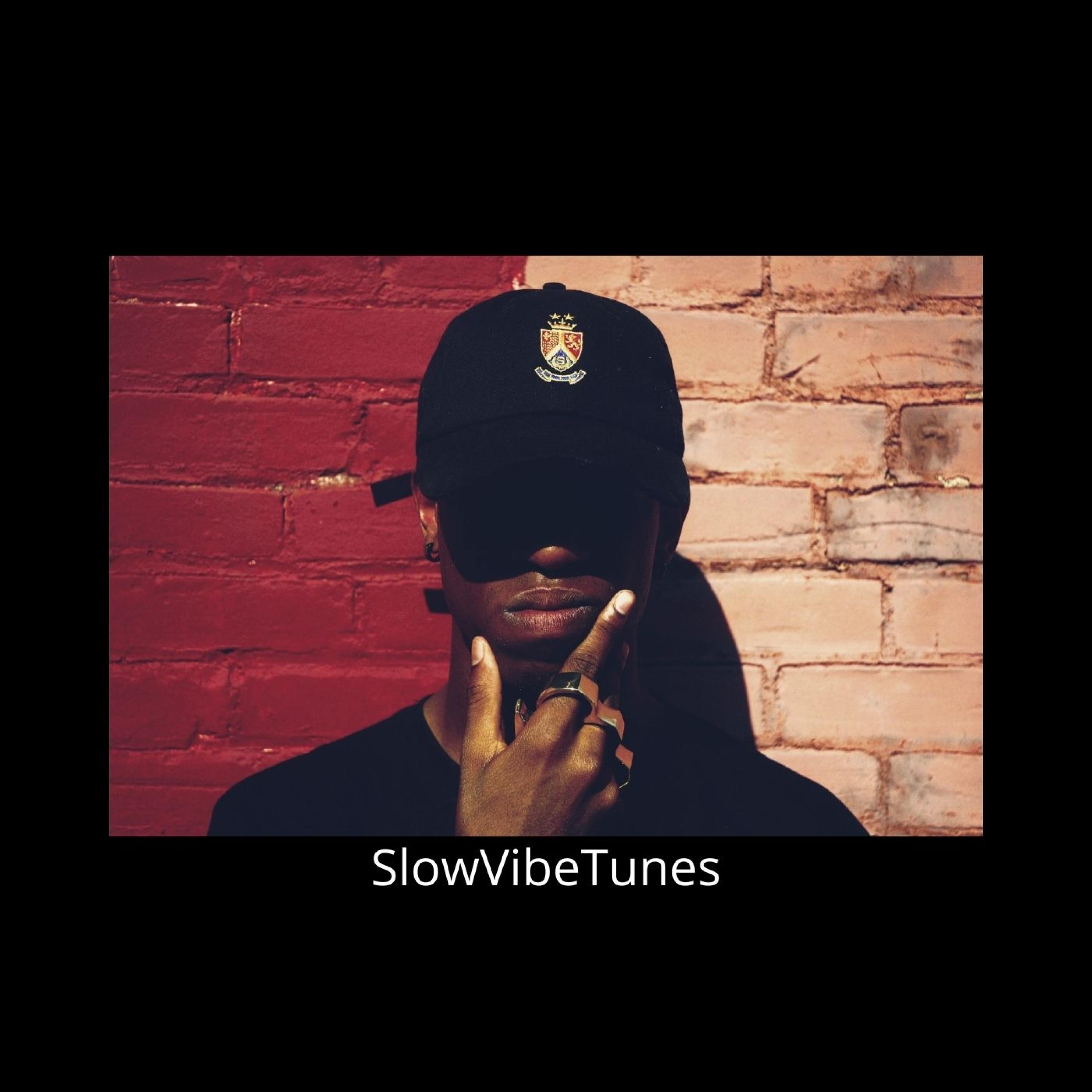 new thang skezzphonic (explicit)_slowvibetunes_高音质在线试听
