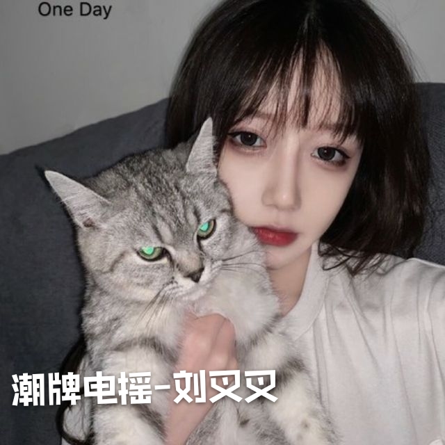 奥迪a8重低音dj_刘叉叉_高音质在线试听_奥迪a8重低音dj歌词|歌曲下载