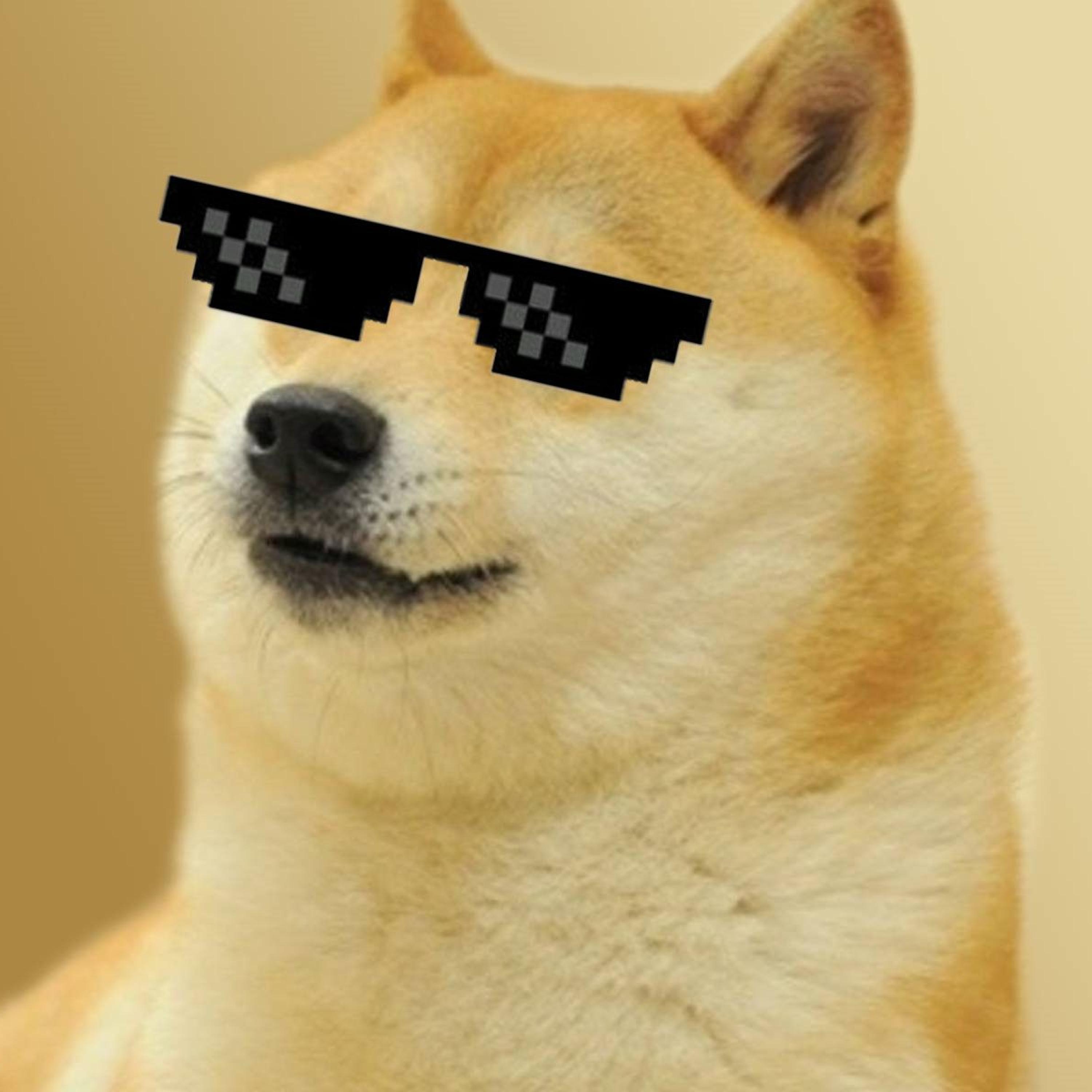 i love dogecoin