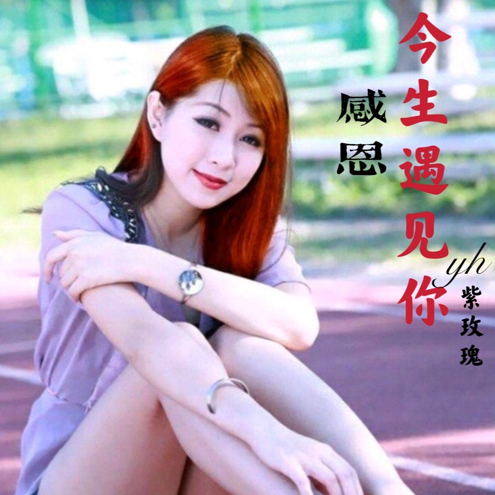 yh紫玫瑰感恩今生遇见你