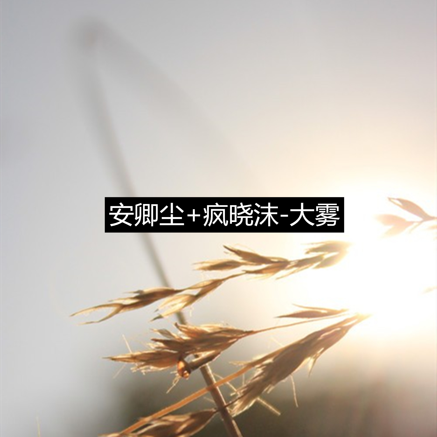 大霧_安卿塵,瘋曉沫_高音質在線試聽_大霧歌詞|歌曲下載_酷狗音樂