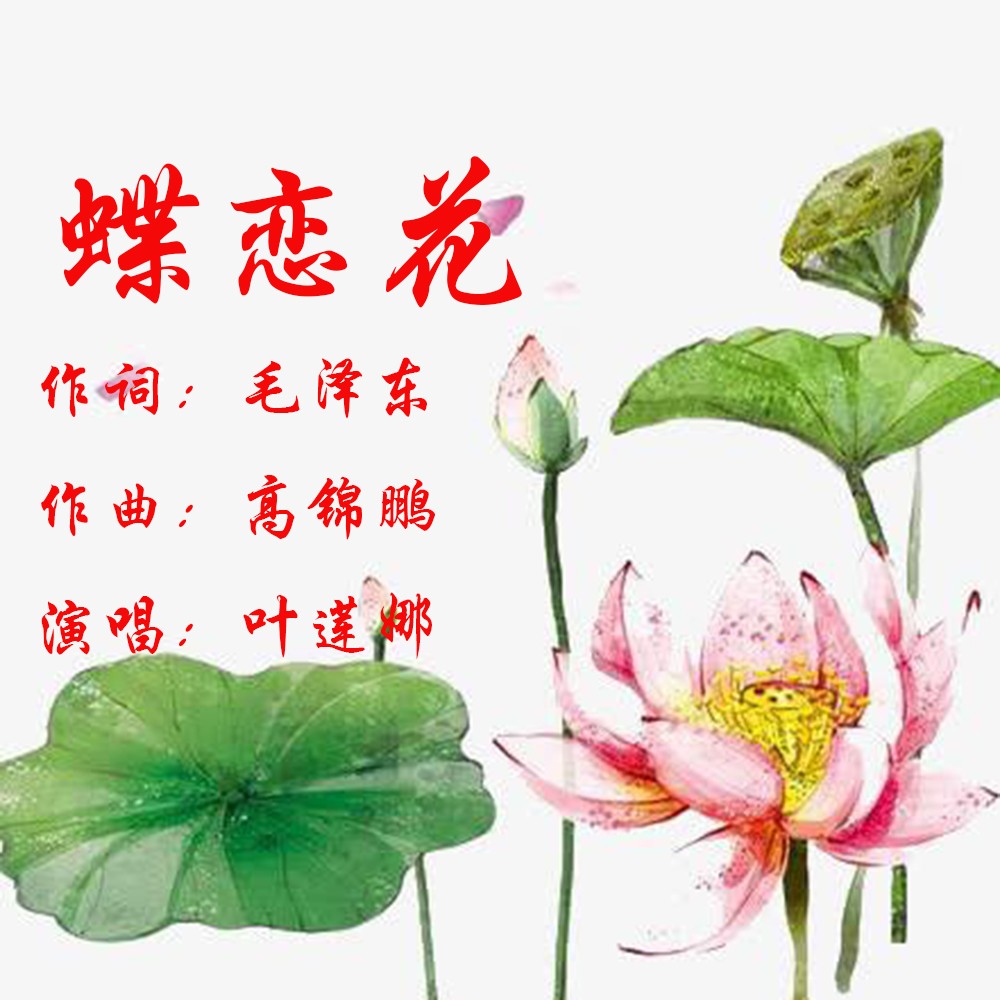 歌曲蝶恋花(歌曲蝶恋花花恋蝶)