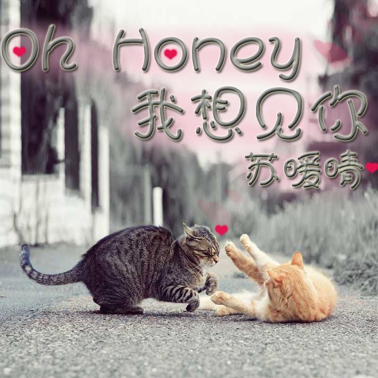 oh_honey_图片图片