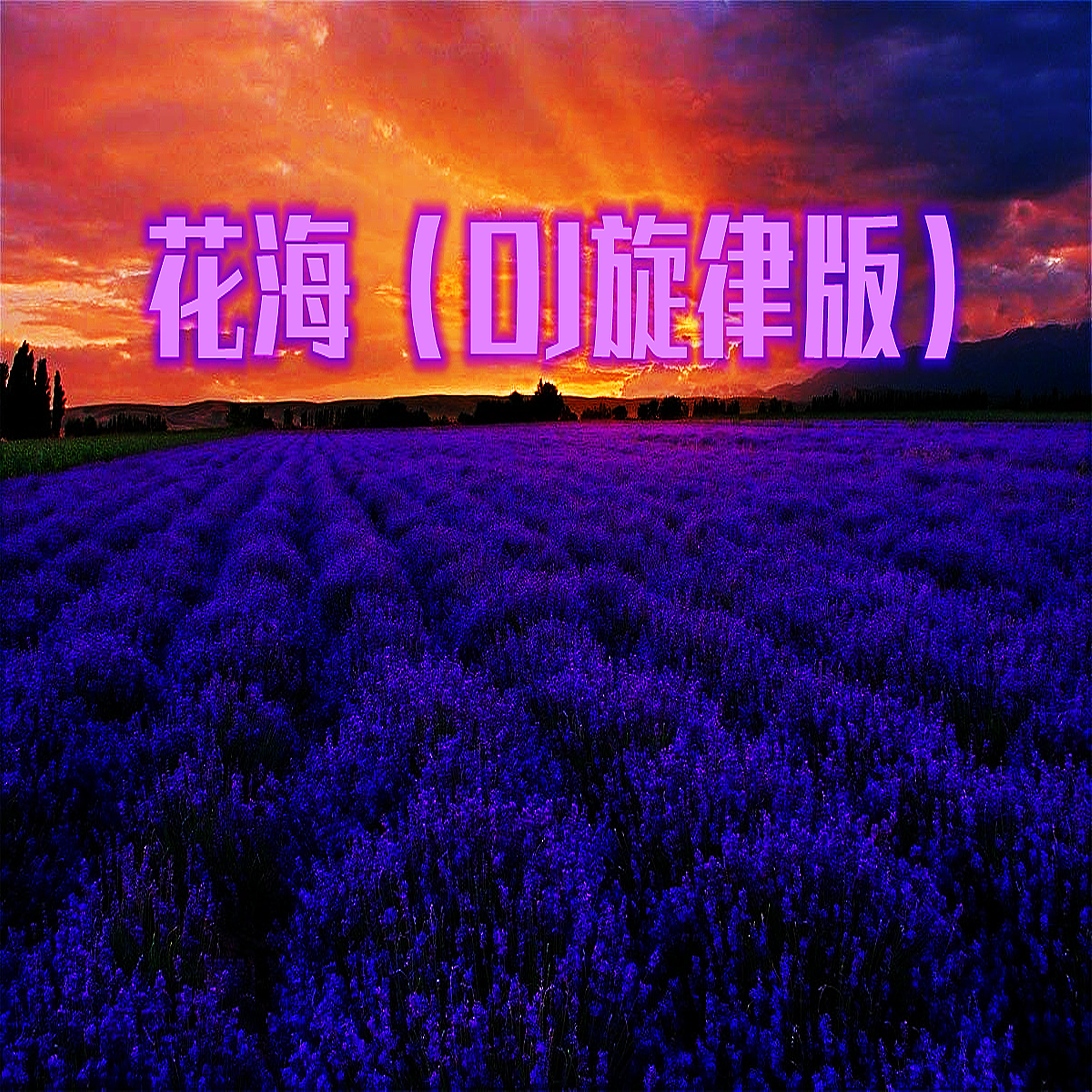 花海mv