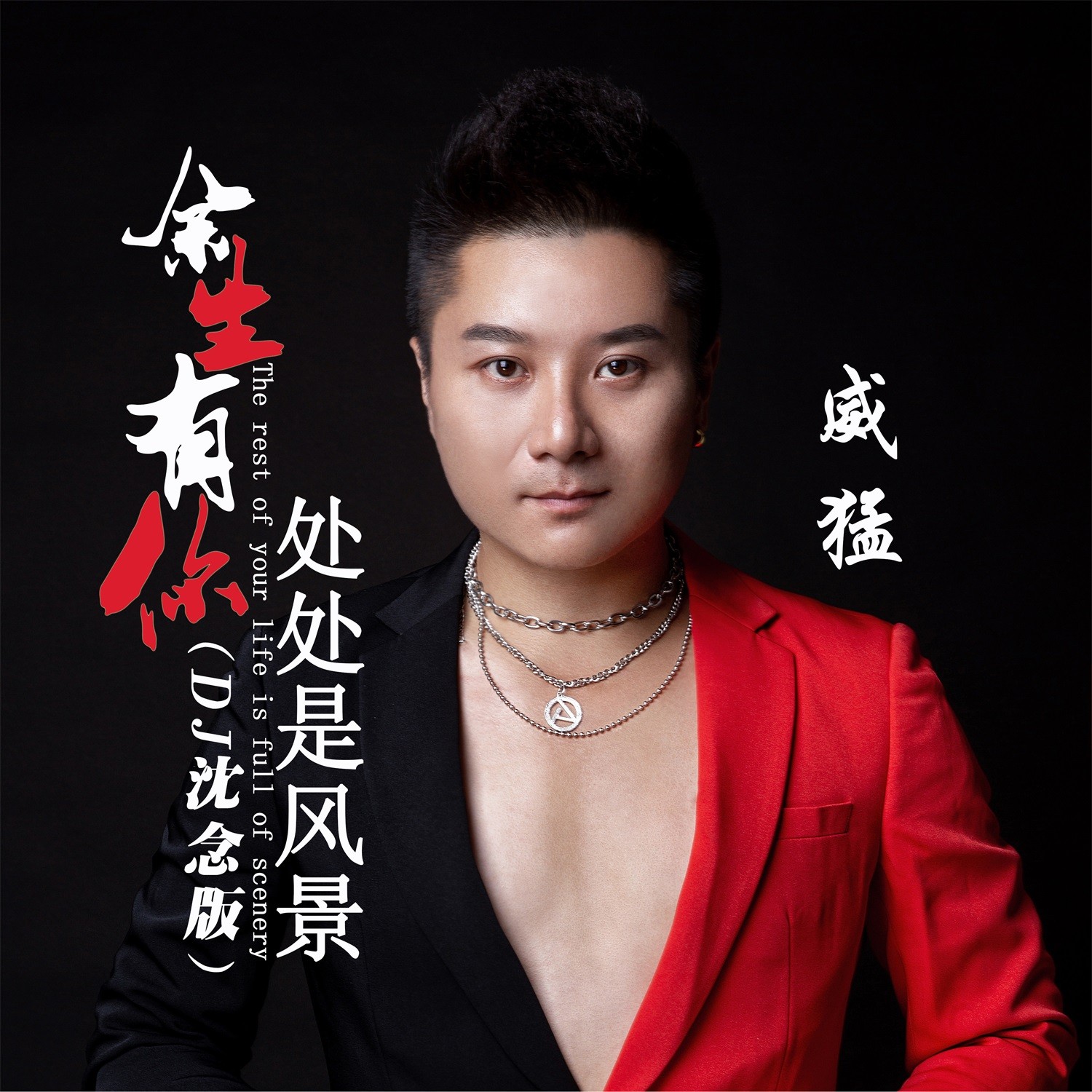 余生有你 处处是风景 (伴奏)(dj沈念版)_威猛_高音质在线试听_余生有